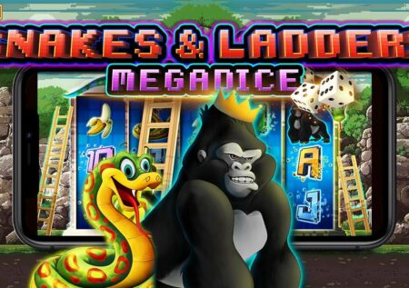 Snakes& Ladders Megadice