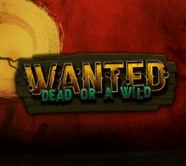 Wanted Dead or a Wild